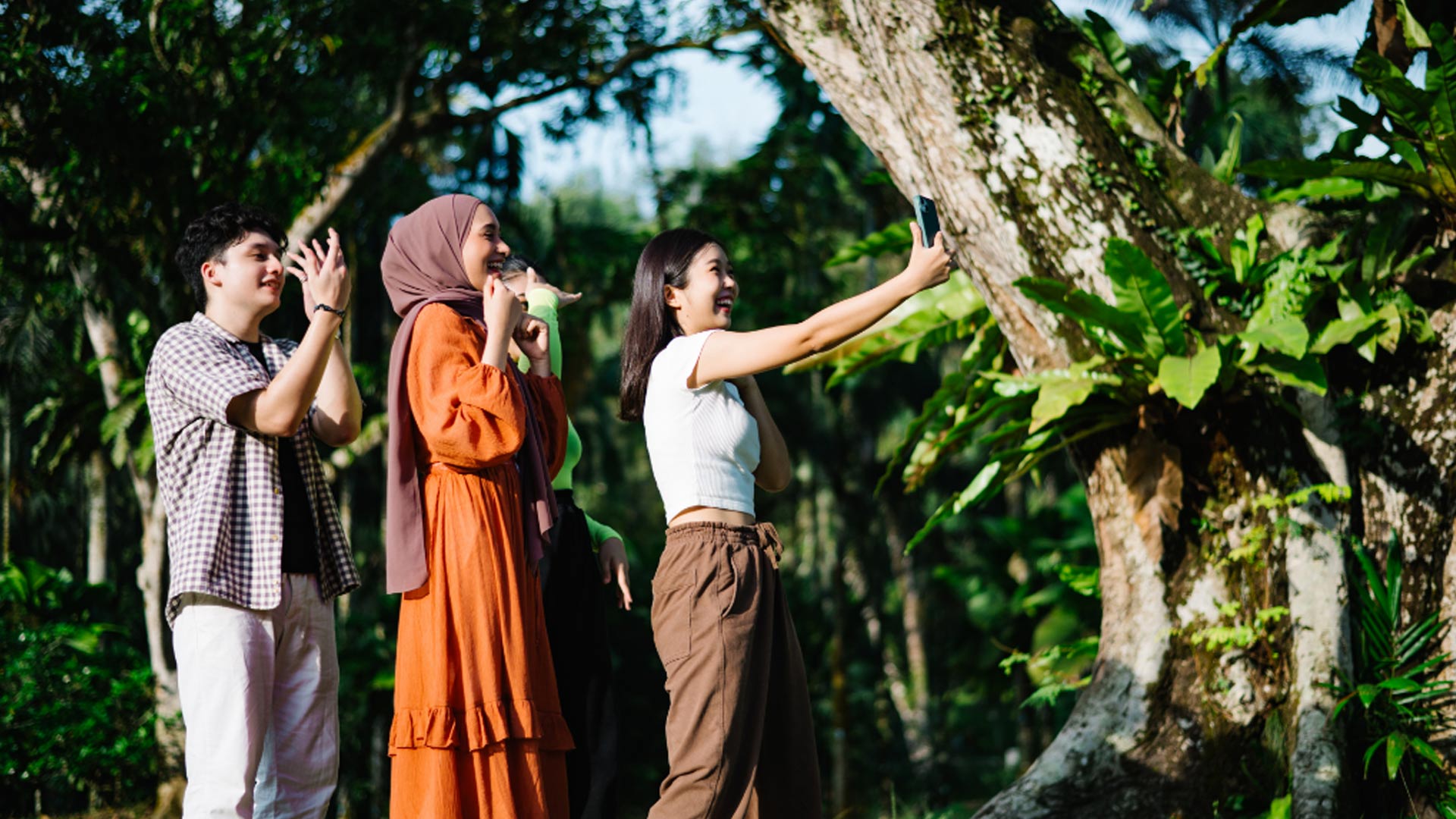 Stand in front of trees